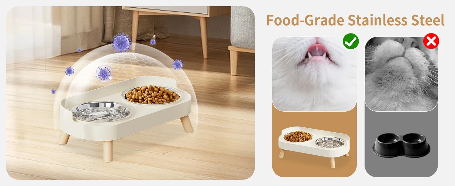 cat bowls for indoor cats