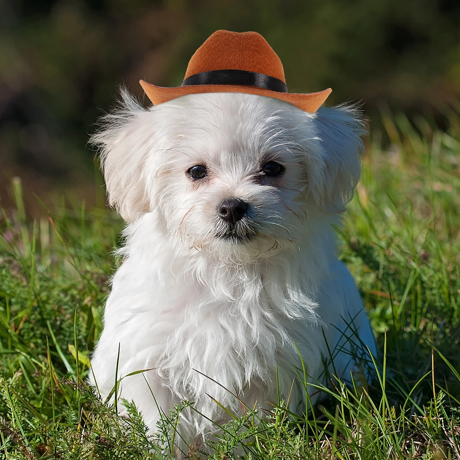 

2pcs Pet Dog Hats Straw Woven Gentleman Style Fashionable Party Christmas Birthday Photo Props Decorative Accessories For Cats