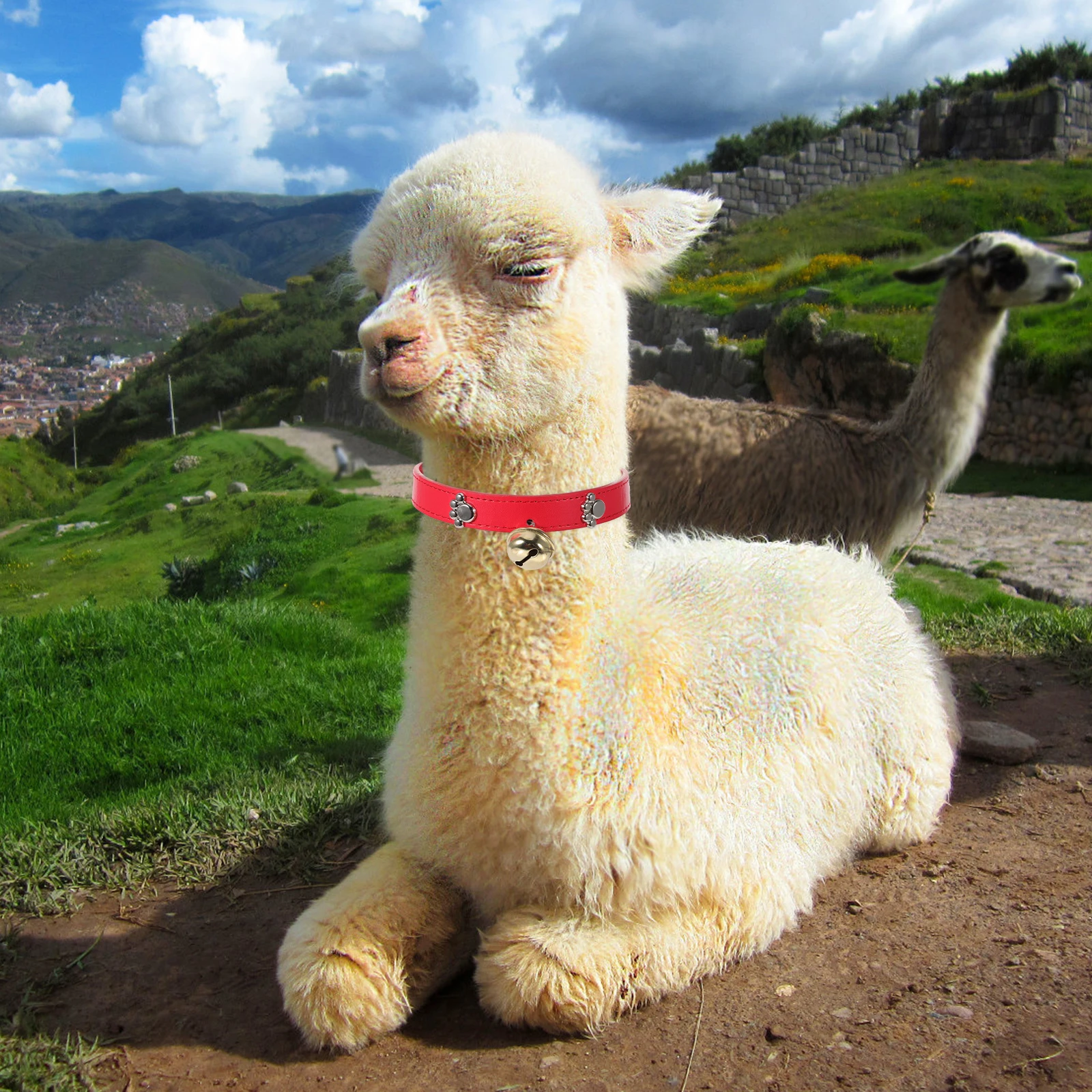 

4 Pcs Bell Collar Sheep Halter Goat Adjustable Livestock Collars Pu Husbandry Supplies Horse with Bells