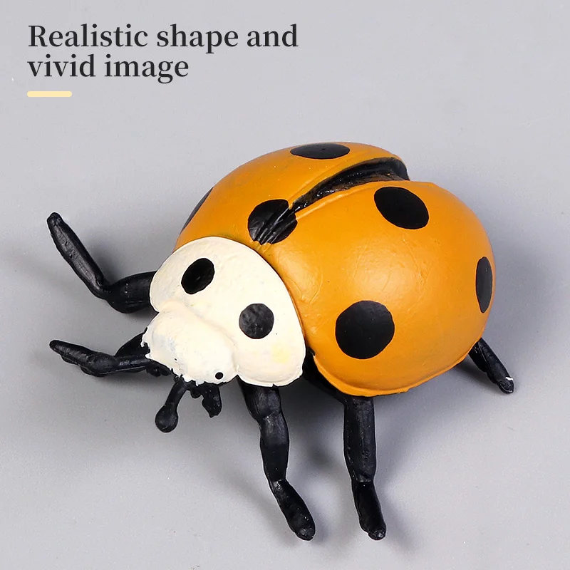 โมเดลแมลงเต่าทองเพื่อการศึกษา ของเล่นฟิกเกอร์จำลองสัตว์ ของสะสมตกแต่ง เหมาะสำหรับการเรียนรู้และความสนุก