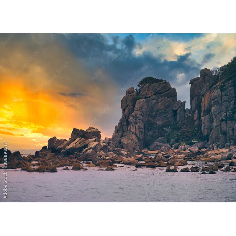 ภาพทิวทัศน์ทะเลต้นปาล์มชายหาดเขตร้อนฉากหลังถ่ายภาพสตูดิโอถ่ายภาพ hhb 15