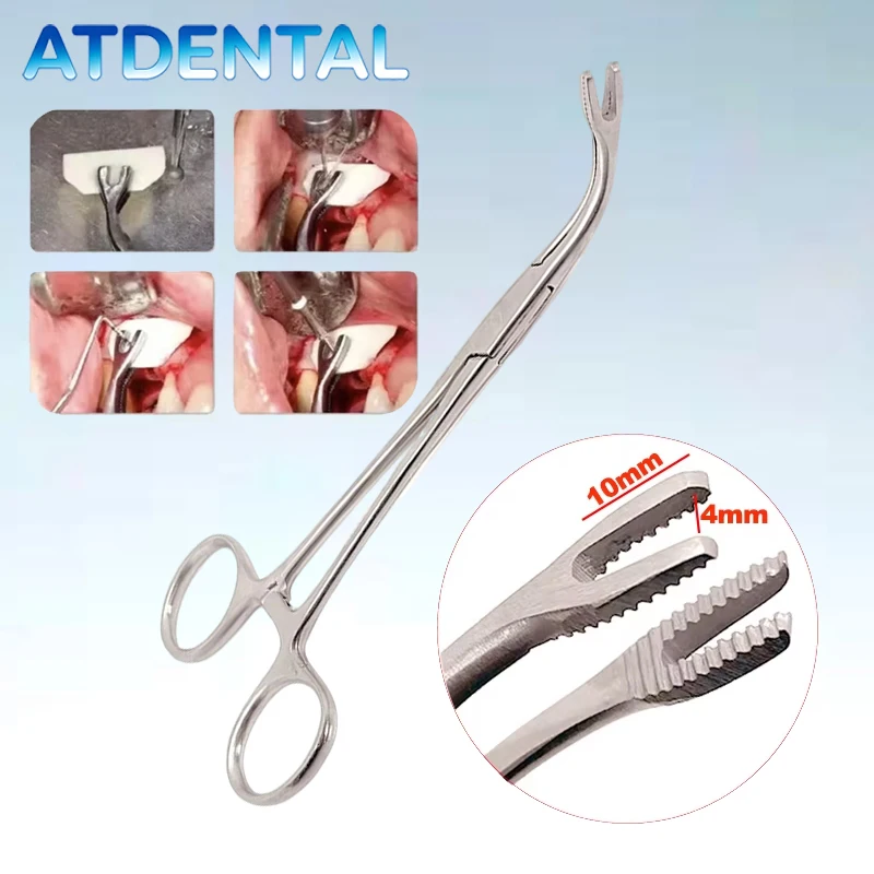 

Dental Bone Graft Forceps Stainless Steel Bone Fragment Gripper Surgical Pliers for Oral Surgery Implant Fixation Tool