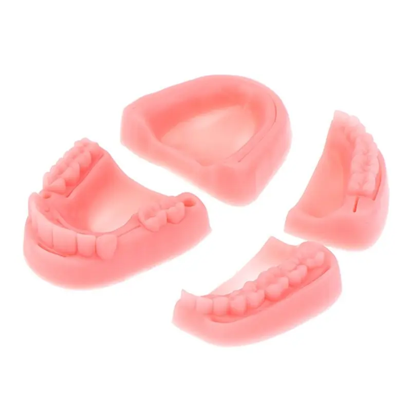 Oral/Gum Suture Training Module 1 Set Silicone Periodontitis Suture Practice Model Oral Suture Teaching Tool