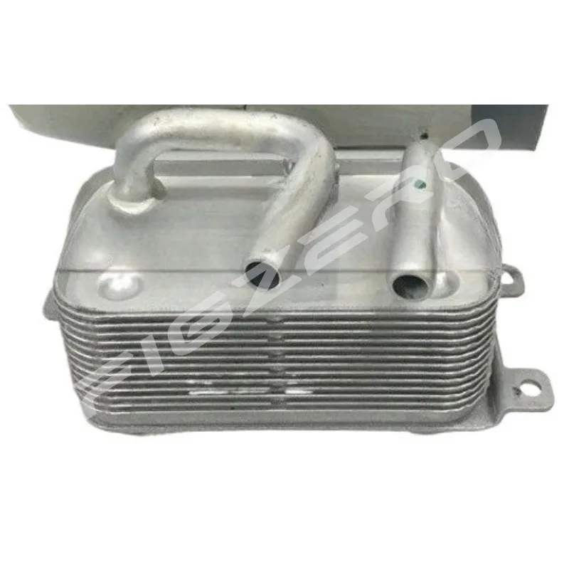 Radiator Grille Gearbox China Genuine for BMW 5 Series E60 520i 523i 525i 528i 530Li