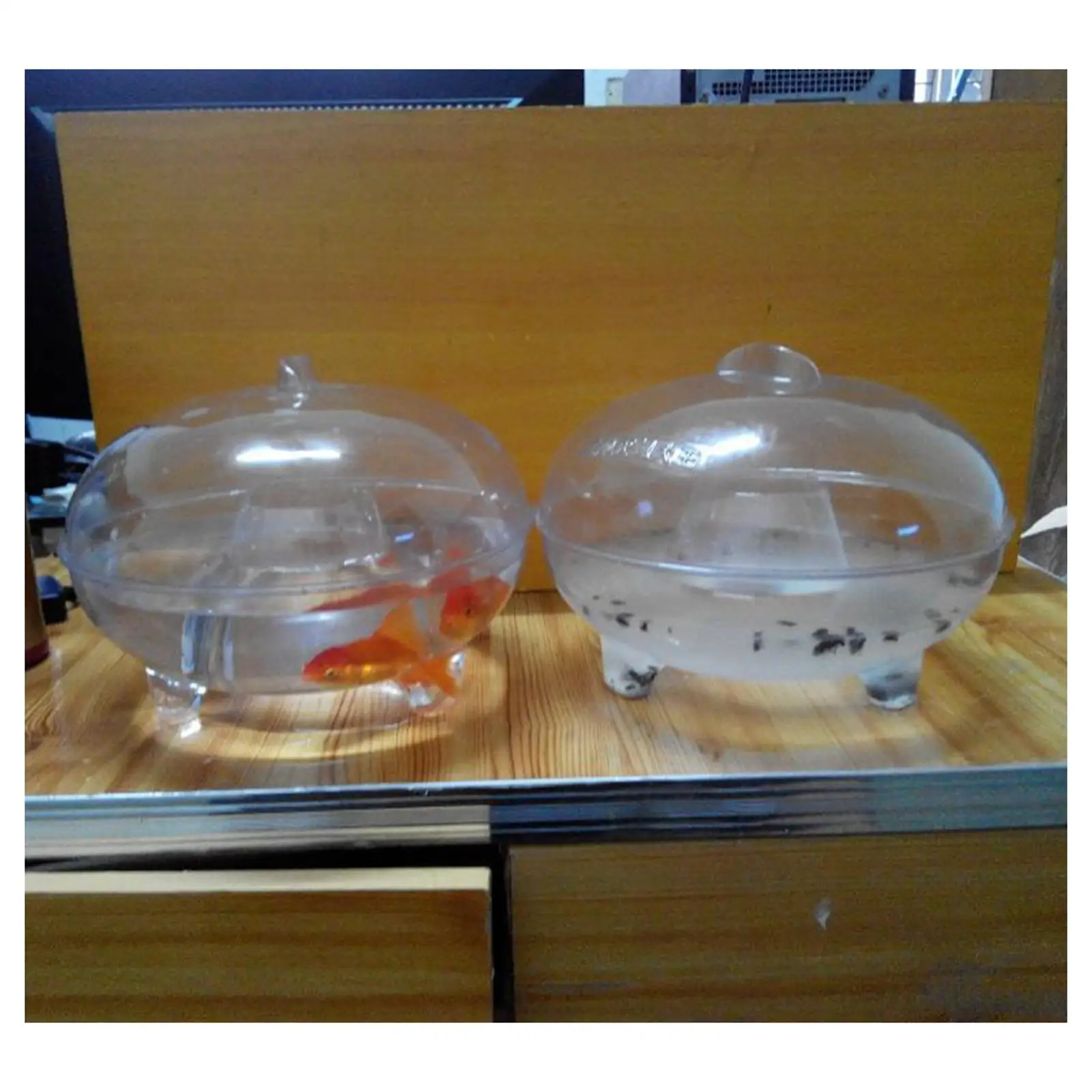 Matamosquitos multiusos, efectivo, para Parque, Hotel, yardas