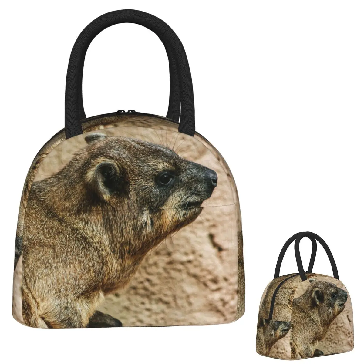 

Сумки для обеда Rock Hyrax, изолированная коробка для бенто, портативная сумка для обеда, многоразовые сумки для пикника, термосумка для женщин и девочек, офис