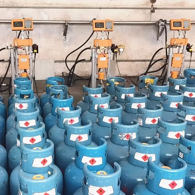 Newest Solenoid Valve Ex-proof Interlocking LPG Cylinder Filling Weighing Scale Wireless Filling Data Tracking