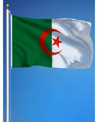 60x90cm 90x150cm Algeria Flag Banner Tapestry