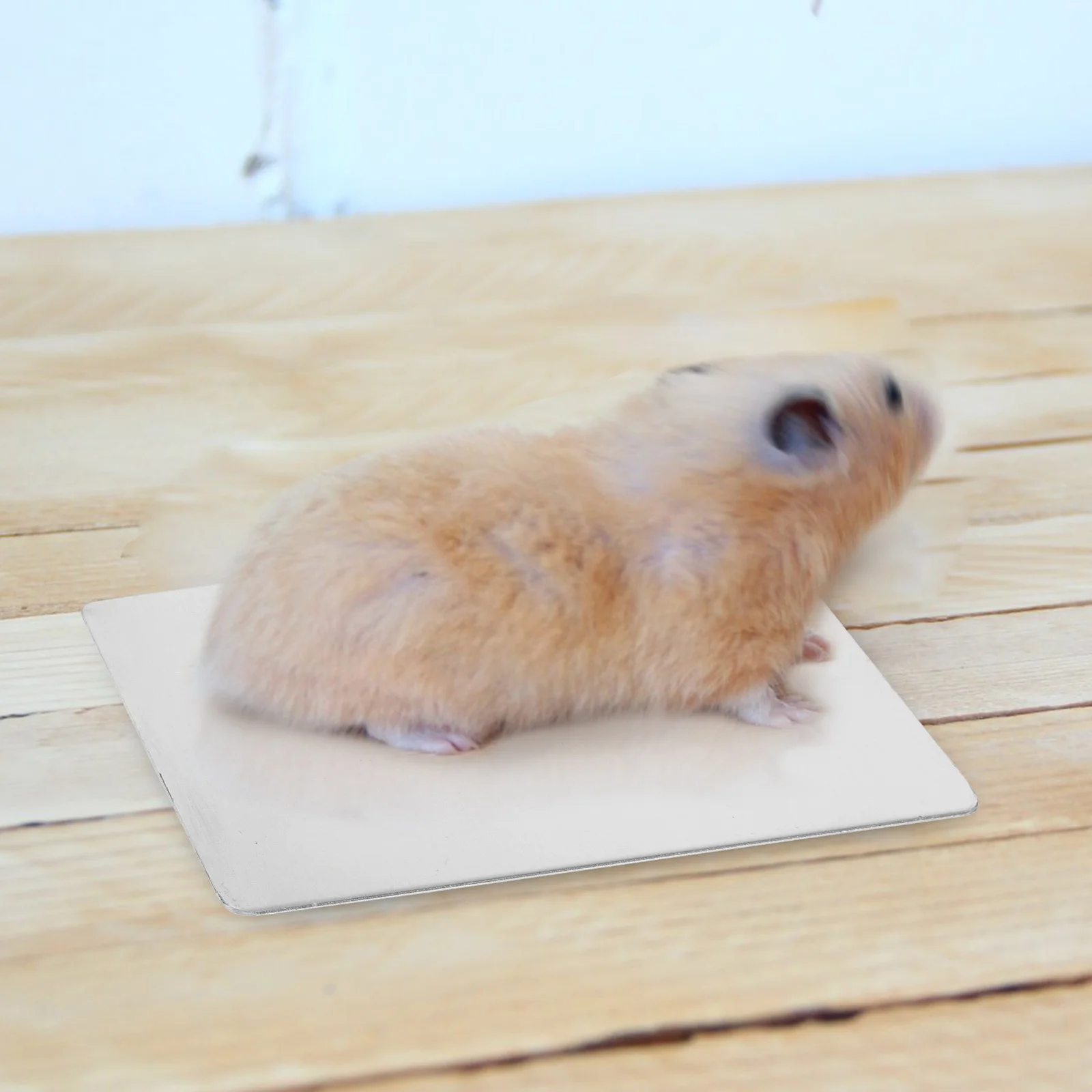 

2Pcs Hamster Cooling Pad Stainless Steel Bite Resistant Heat Sink Cooling Mat Summer Bed Small Pet Rabbit Bunny Accessory