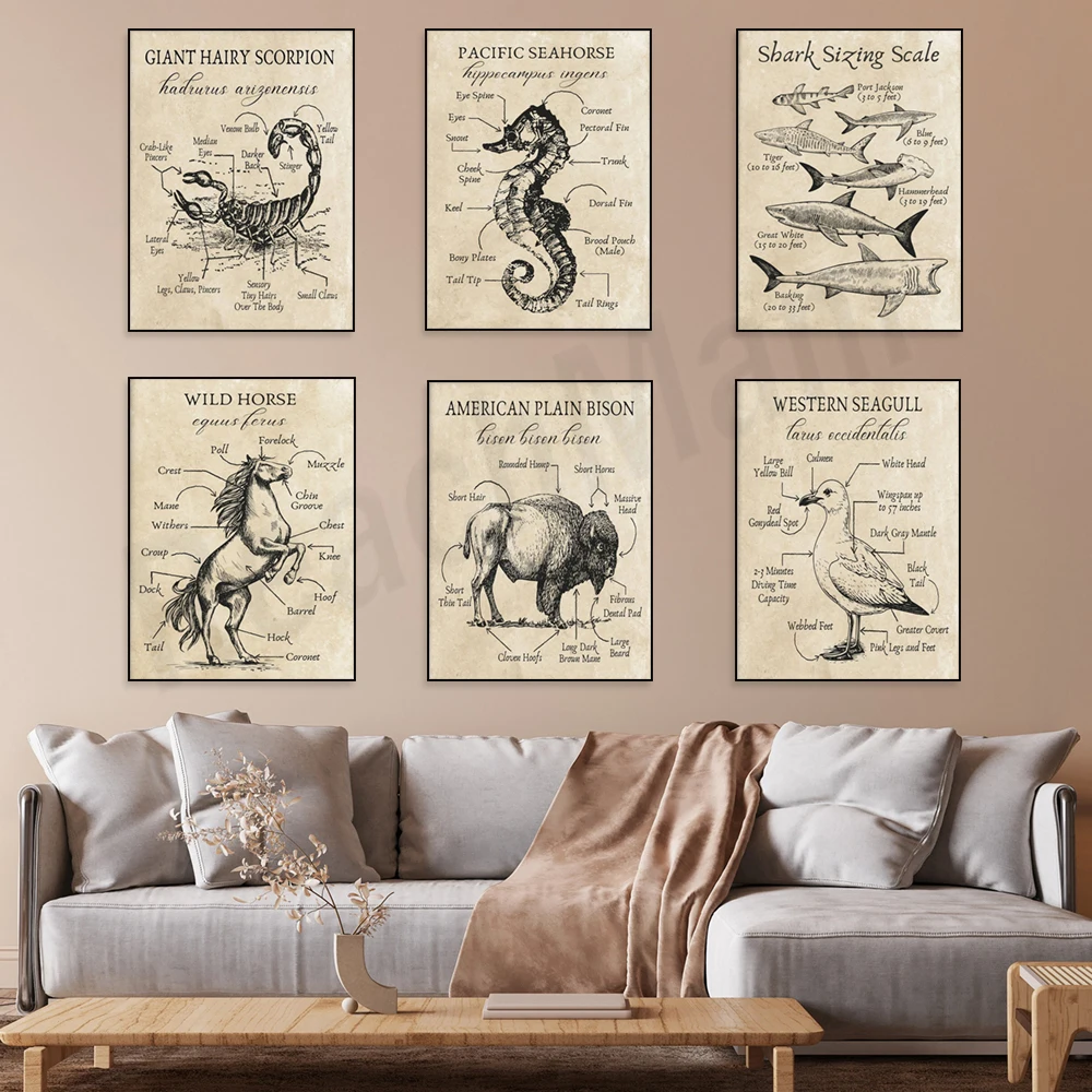 Dungeness crab, red sea turtle, rattlesnake, nautilus, seahorse, bison, seagull, scorpion anatomy poster, lakeside cottage gift.