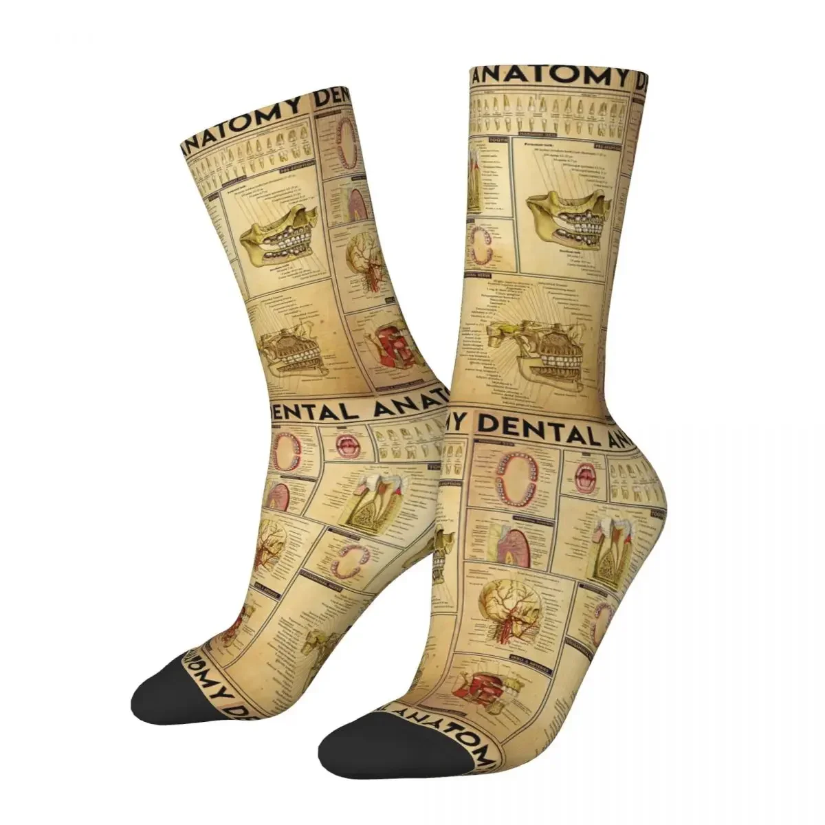 Dental Dentist Full Art Socks Harajuku Super Soft Stockings All Season Long Socks Accessories for Man's Woman's Birthday Present