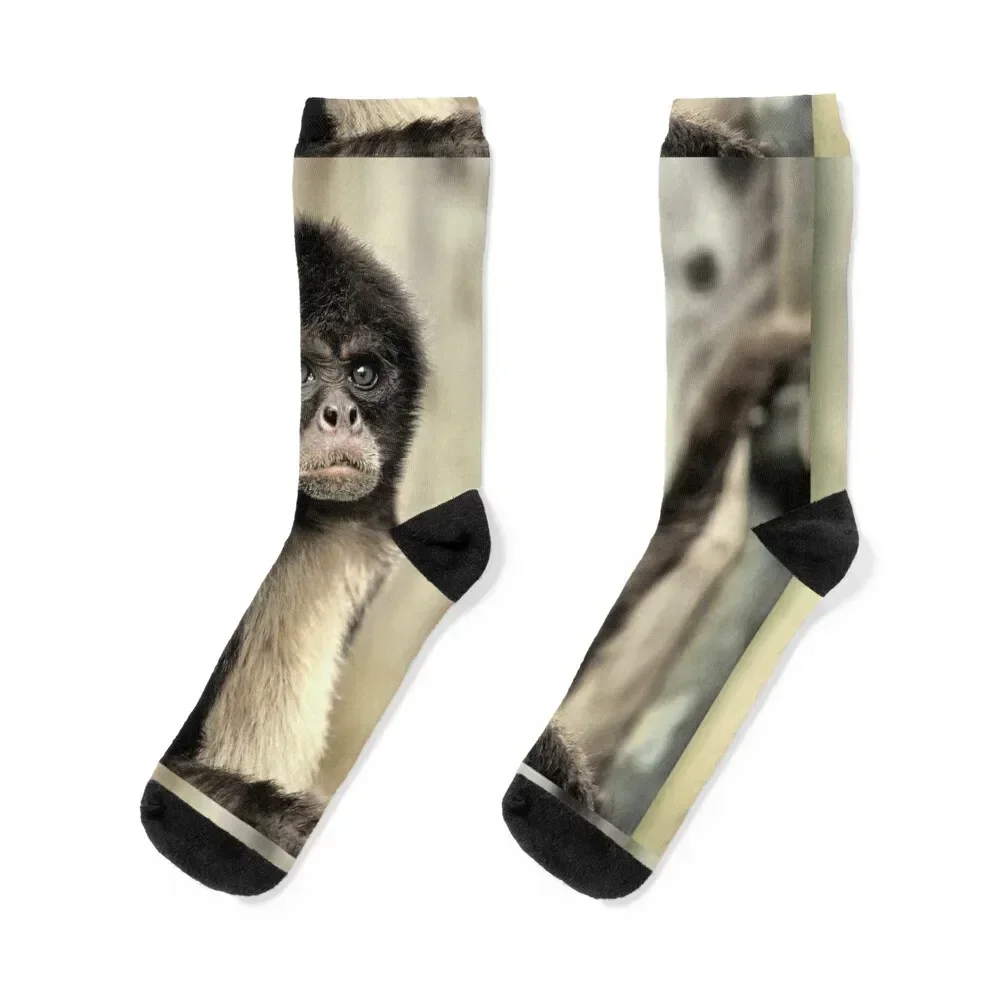 

Spider Monkey Socks Children's halloween tennis christmas gifts Socks For Girls Men's gift Men's short Socks Women's Men's