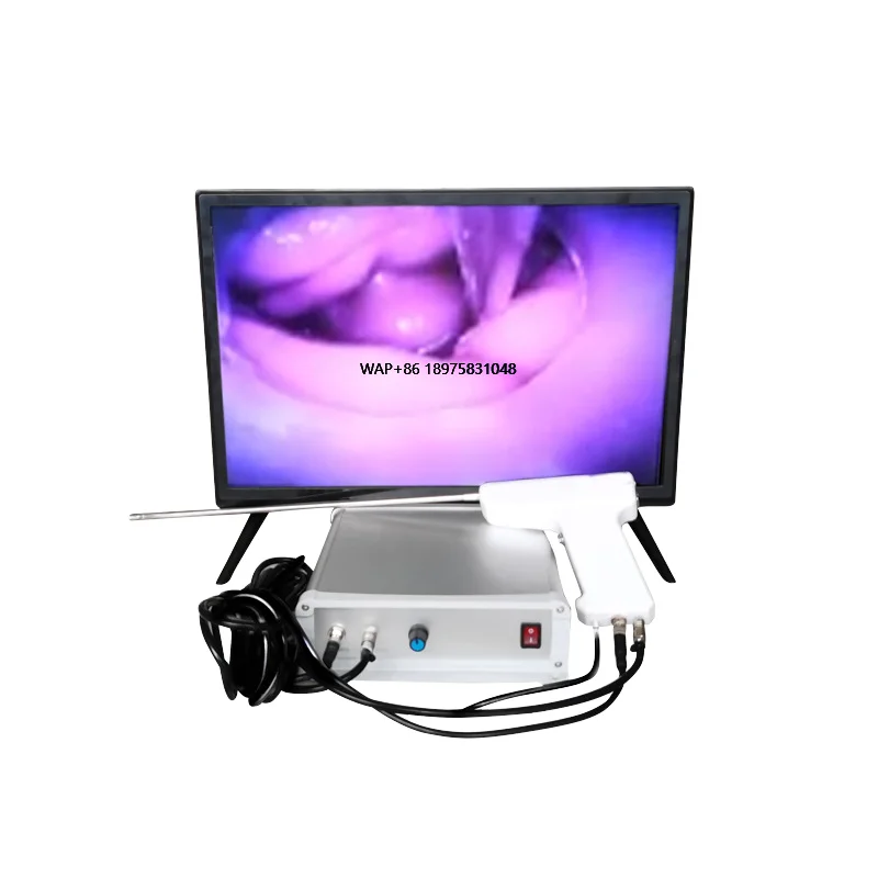 Double dog desktop visual insemination system (with thermometer)