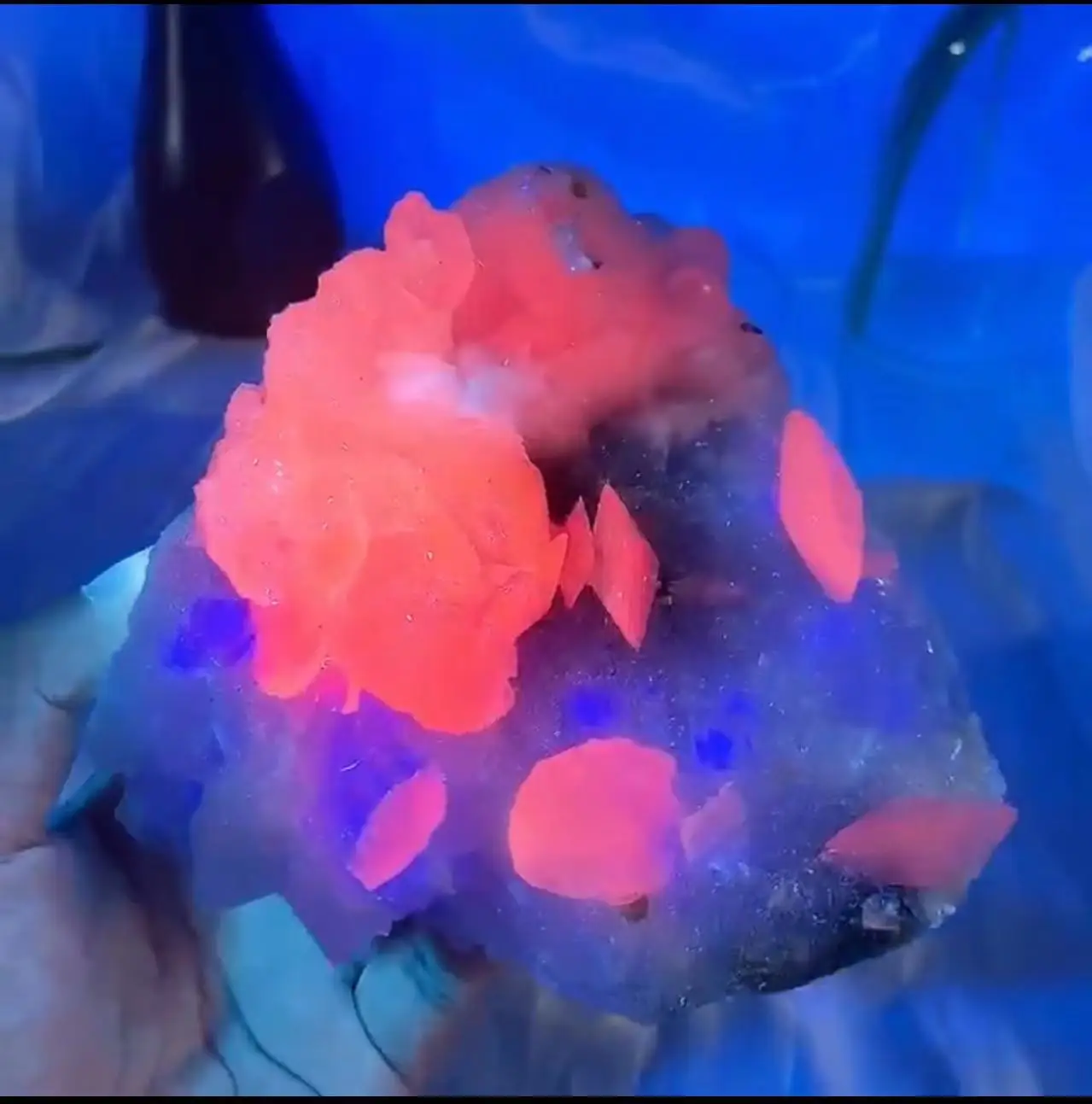 

100% Natural Pink Calcite Fluorescence（Fluorescent effect pink）Rough Specimen Crystal Quartz Gemstone Home Decoration