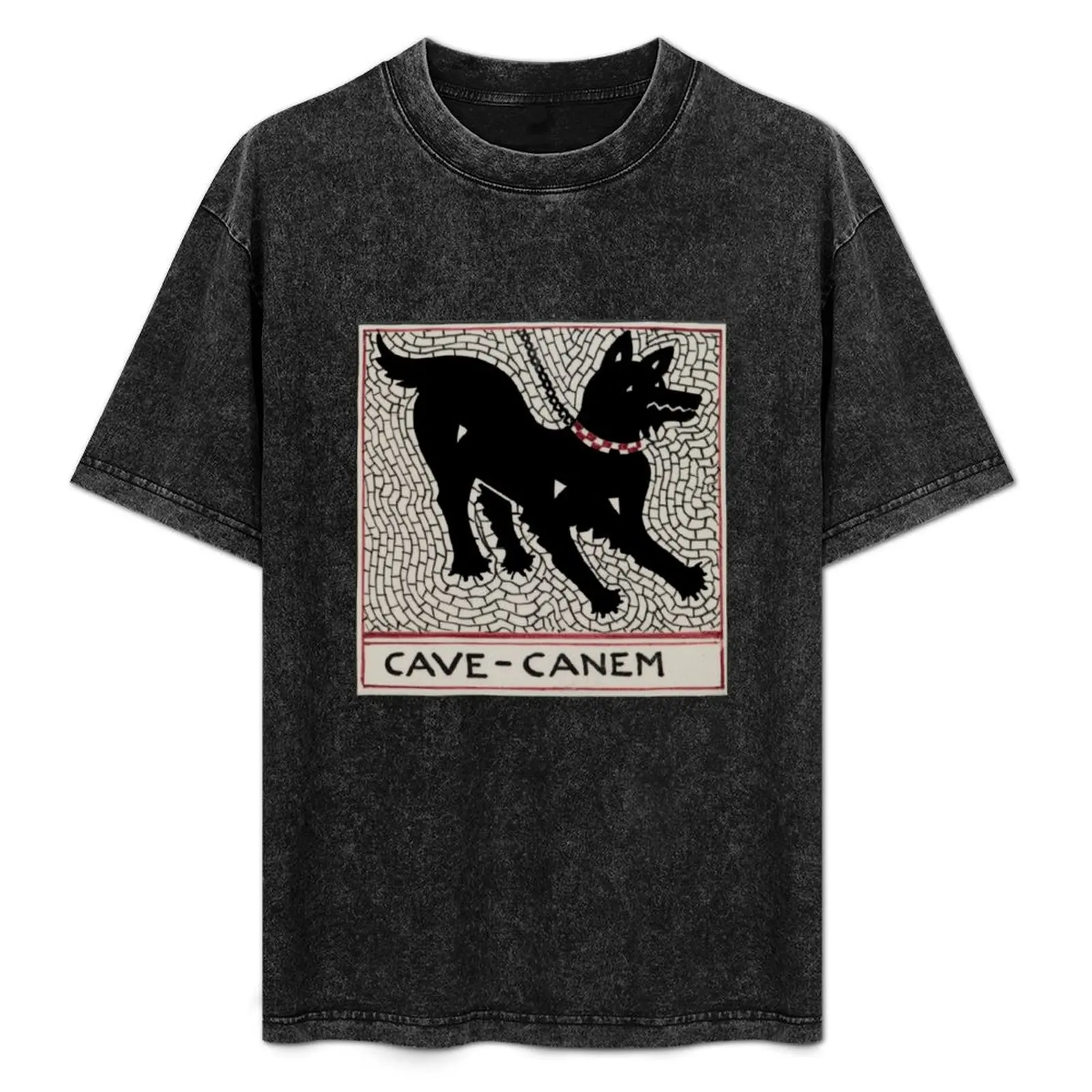 Cave canem T-Shirt anime tshirt shirts graphic mens champion t shirts