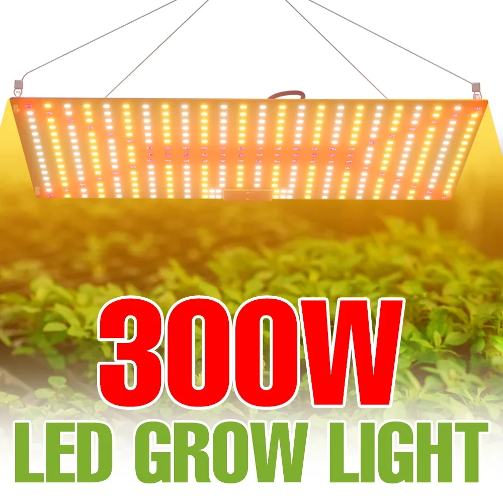300W Full Spectrum LED Grow Lights Indoor Quantum Plate Plant Fill Lamp Greenhouse Tent Vegs Fruit Flower Cultivation Lighting