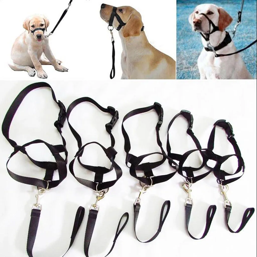 Pet Muzzle Dog Muzzle Adjustable Anti-biting Nose Hair Mask Pet Traction Set Dog Muzzle Training Belt