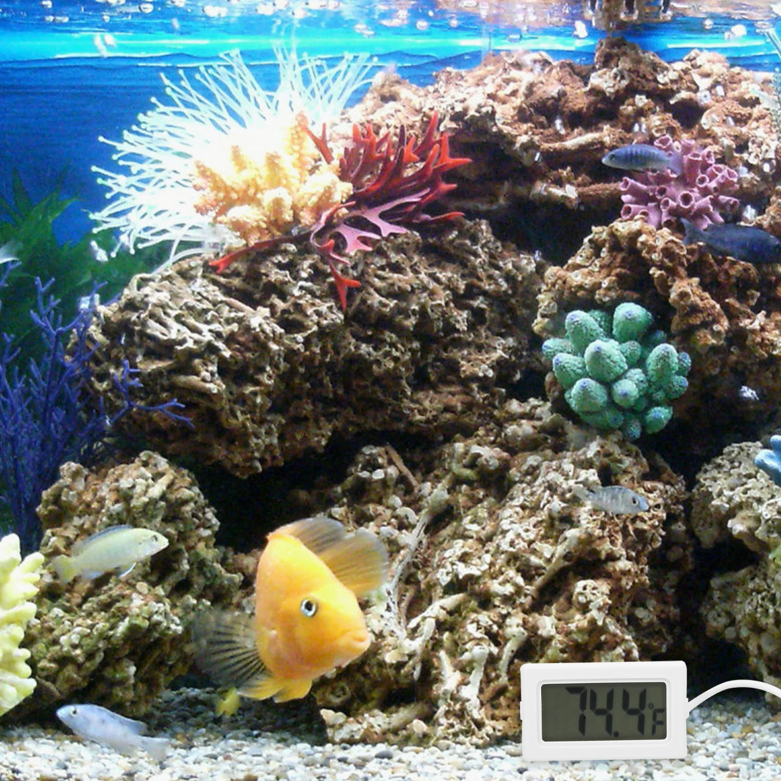 

4Pcs Digital Aquarium Thermometer Temperature Measuring Tool Waterproof Large Screen Fish Tank Indoor Thermometer