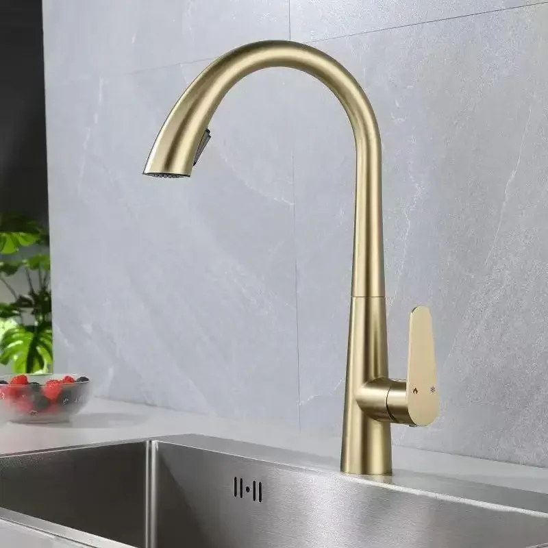 Pull-Out Kitchen Faucet Stainless Steel Dual Outlet Faucet 360-Degree Rotatable Hot and Cold Kitchen Faucet Kitchen accessories