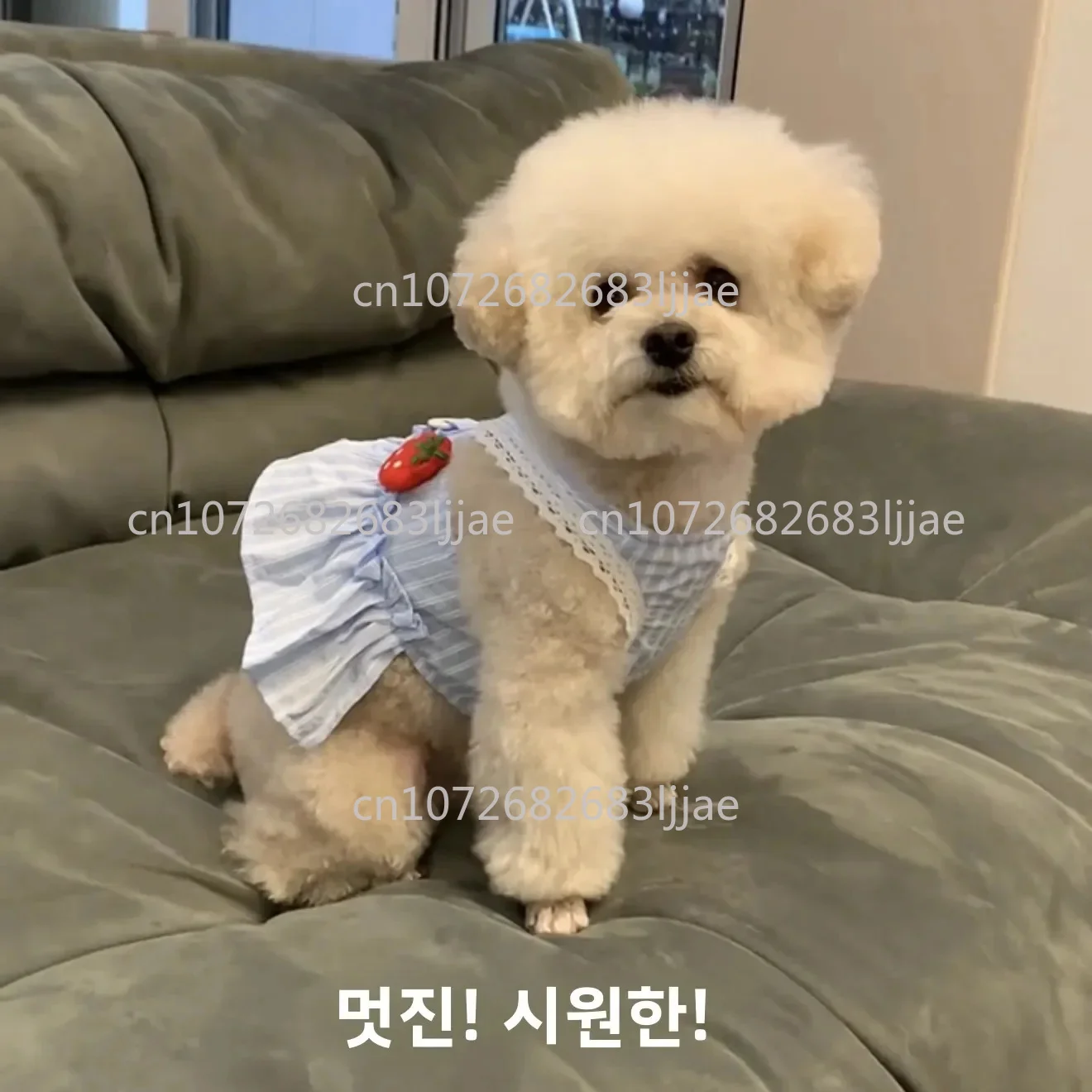 roupas-para-caes-pequenos-saia-com-alca-para-cachorros-bichon-fantasia-para-caes-vestido-de-verao-e-primavera-estilo-princesa-fino-e-fofo-para-animais-de-estimacao