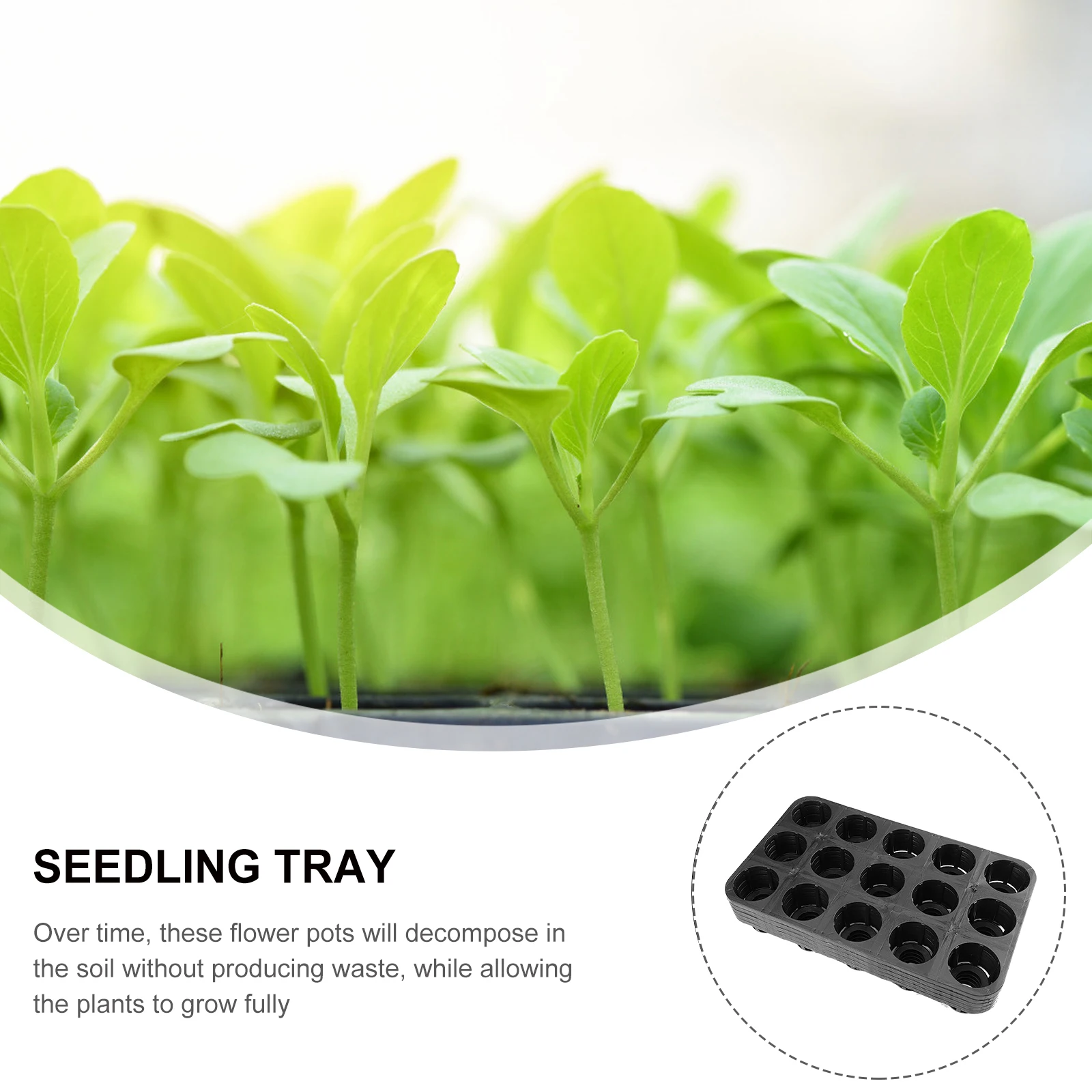 

5pcs 15-Hole Phalaenopsis Pallet Plant Growing Trays Greenhouse Accessories Reusable Seed Starter Durable Light for Flowers