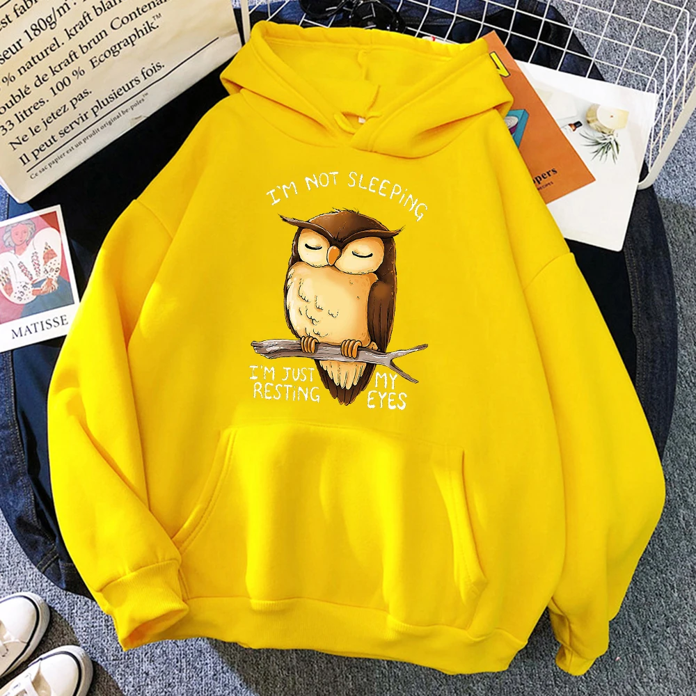 I\'M Just Resting My Eyes Owl Women Streetwear Casual Fleece Soft Hoody Oversized Loose Hoodies O-Neck Pullover Sweatshirt Woman