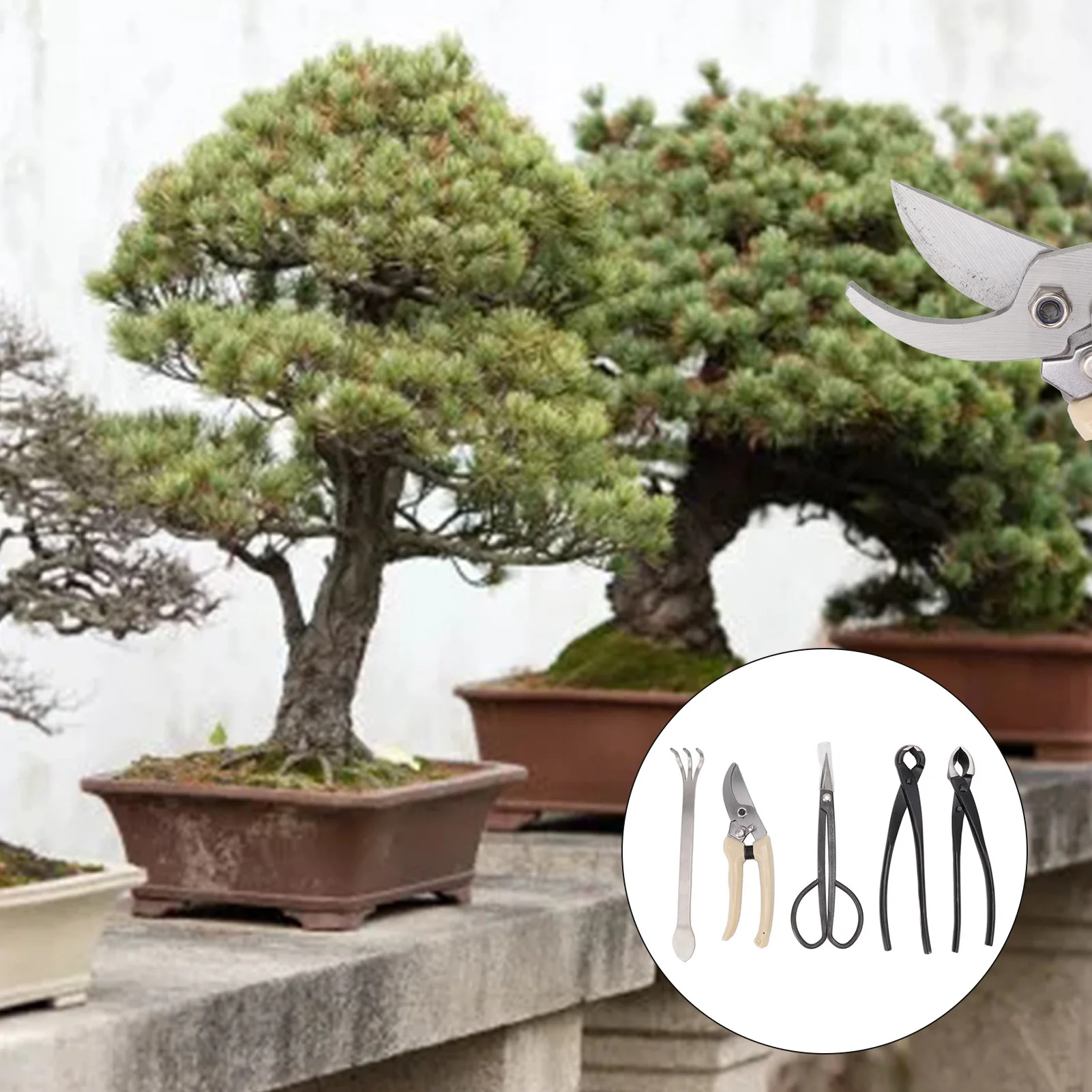 Bonsai Tool Set Kit Carbon Steel Bonsai Scissors Rake Branch Cutter Pruning Shears Pliers Garden Tools Bonsai Tool Set