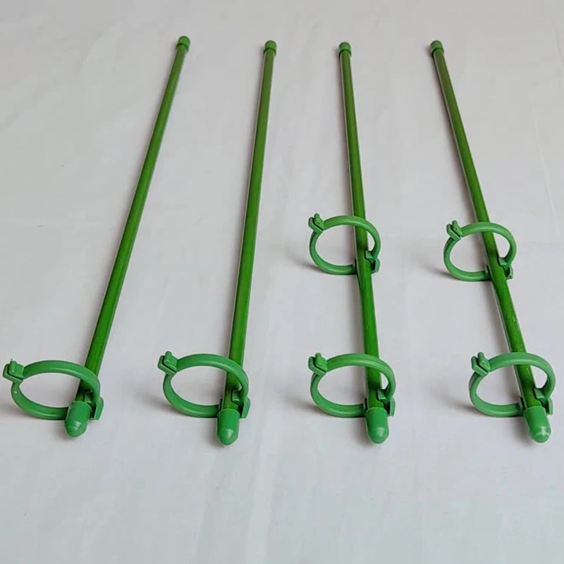 

Регулируемый набор опорных кольев для садовых растений, опорное кольцо для цветов, клетка из стекловолокна для помидоров, овощей, оптовая продажа, аксессуары для растений