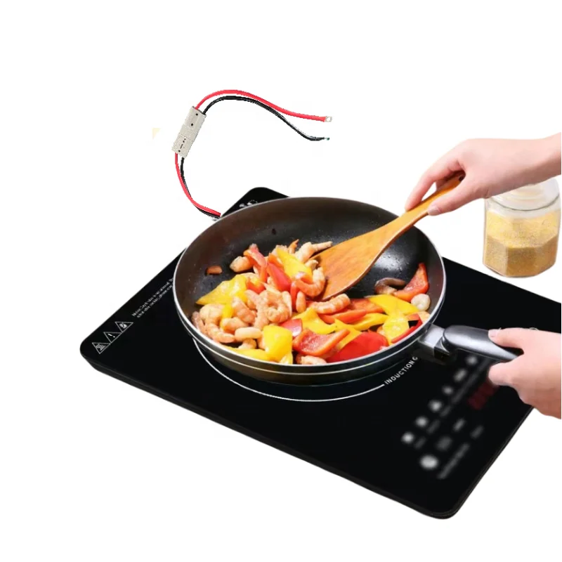 Solar Induction Cooker with Single Burner 24V/48V DC Touch Control Glass Housing Hotpot Feature Solar Panel