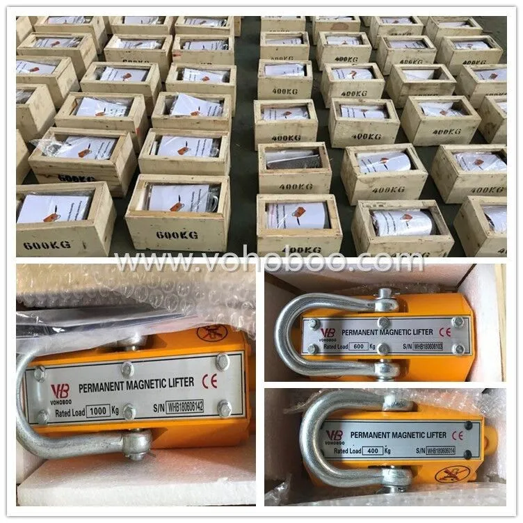 600kg 800kg 1000kg High Competition Manual Permanent Magnet Lifter Capacity For Mold Industry