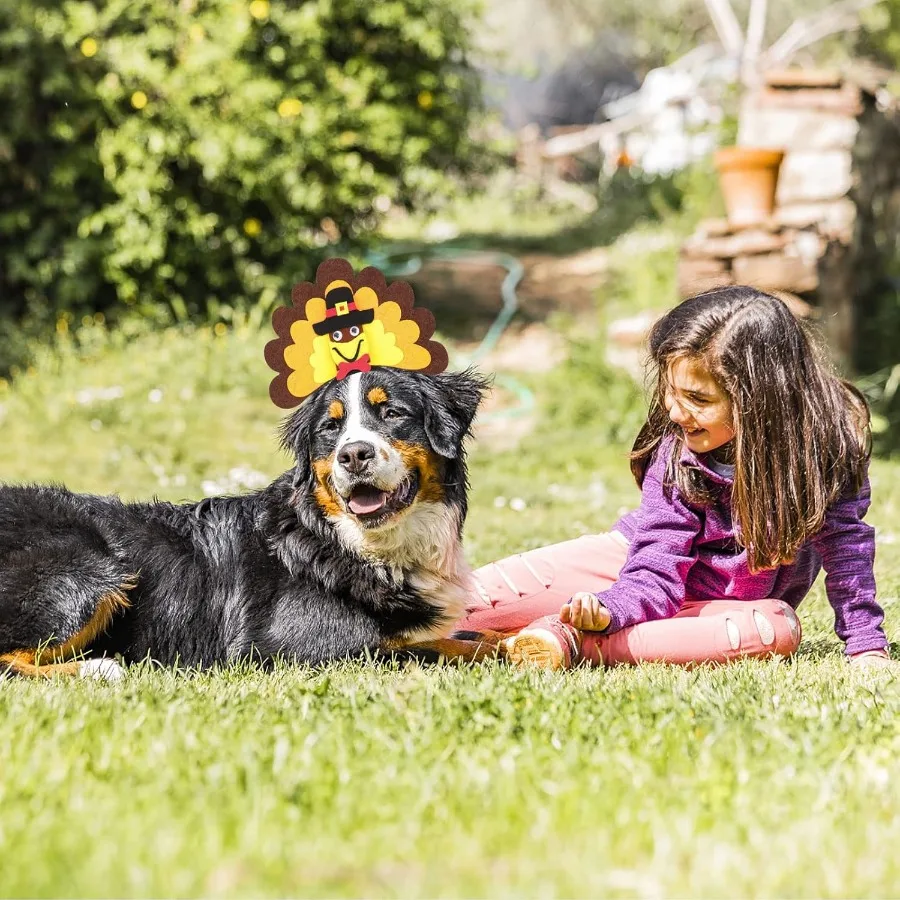 زي عيد الشكر للكلاب الديك الرومي للكلاب المتوسطة والكبيرة #4