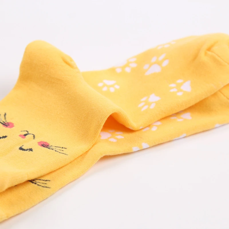 5 Pair/Lot Cute Cartoon Cat Women's Socks 3D Ears Fashion Long Middle Tube Socks Cozy Warm Ankle High Daily Casual Women Socks