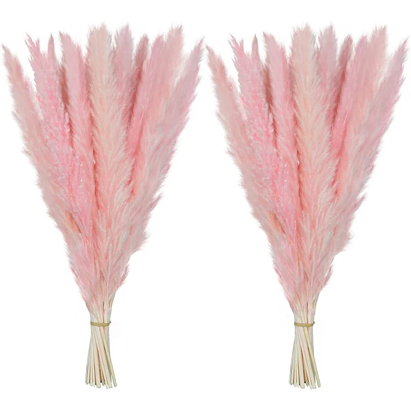 

Total 60Pcs Natural Dried Pampas Grass Decor Reed Boho Bouquet Wedding Centerpieces for Tables Dried Flowers Bouqet Decoration