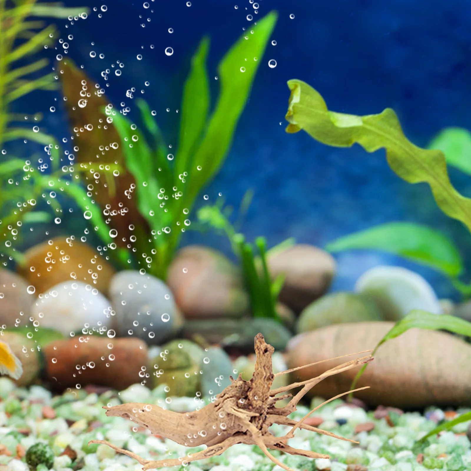 

15-20Cm Natural Real Wood Driftwood Aquarium Decorations Fish Tank Planting Moss Anchoring Unique Shape Environment