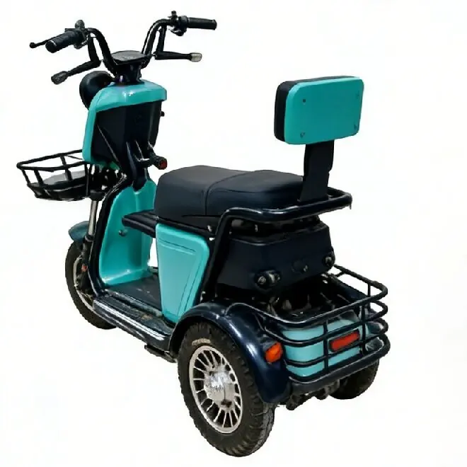 Adult 3-Wheel Electric Tricycle Passenger Vehicle 48V 20Ah Battery 500W Motor 30km/h Speed 30-50km Range