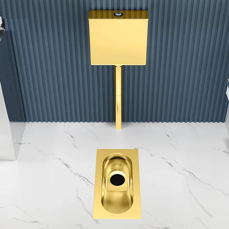 Gold Dome Two-Piece Toilet Stainless Steel