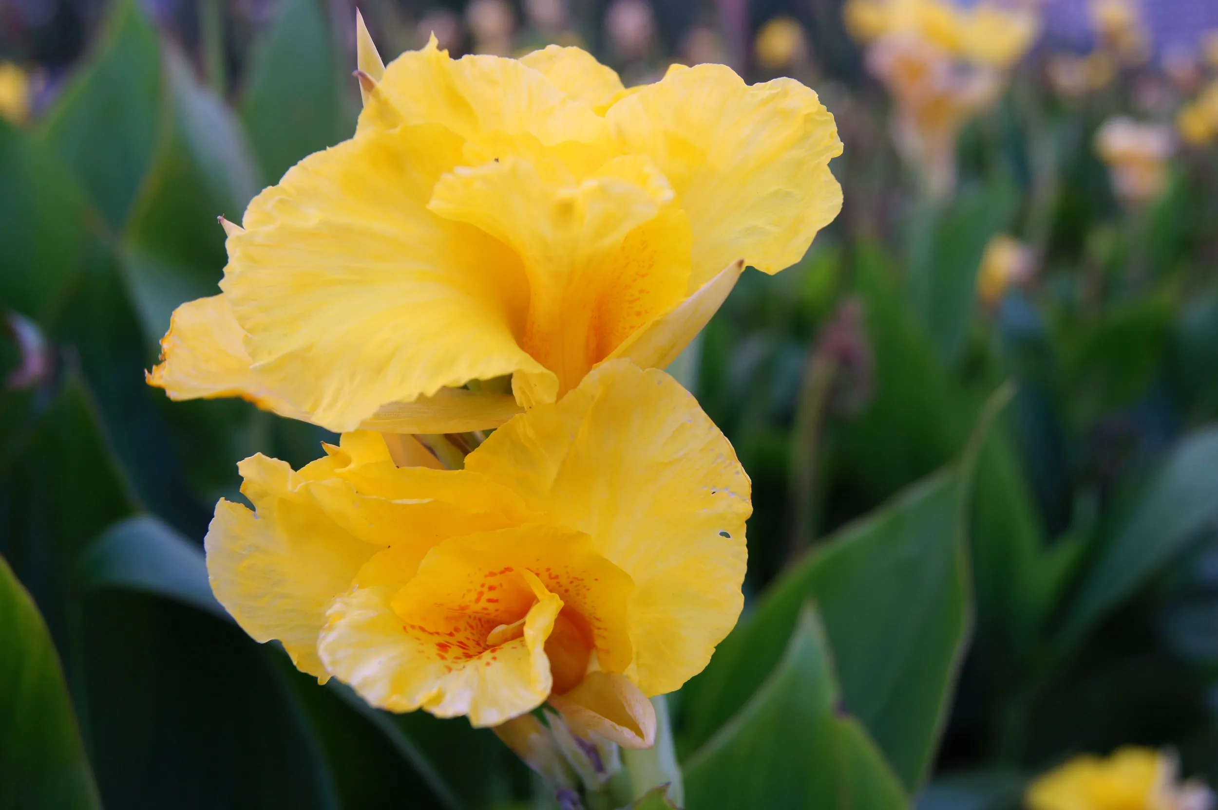 

Комплект из 4 шин MX RC 2,8 дюйма с шестигранным адаптером 12 мм для радиоуправляемых грузовиков 1/10, для Arrma Big Rock Granite VORTEKS 3S Trxs Rustler