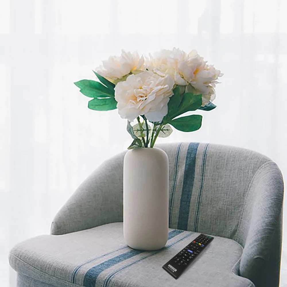 جهاز تحكم عن بعد للمسرح المنزلي سوني ، بالبلو راي ، من من من من من من ؟