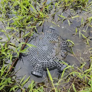 أفضل 6 مصائد مبيعا لقتل القطط - رقم 5