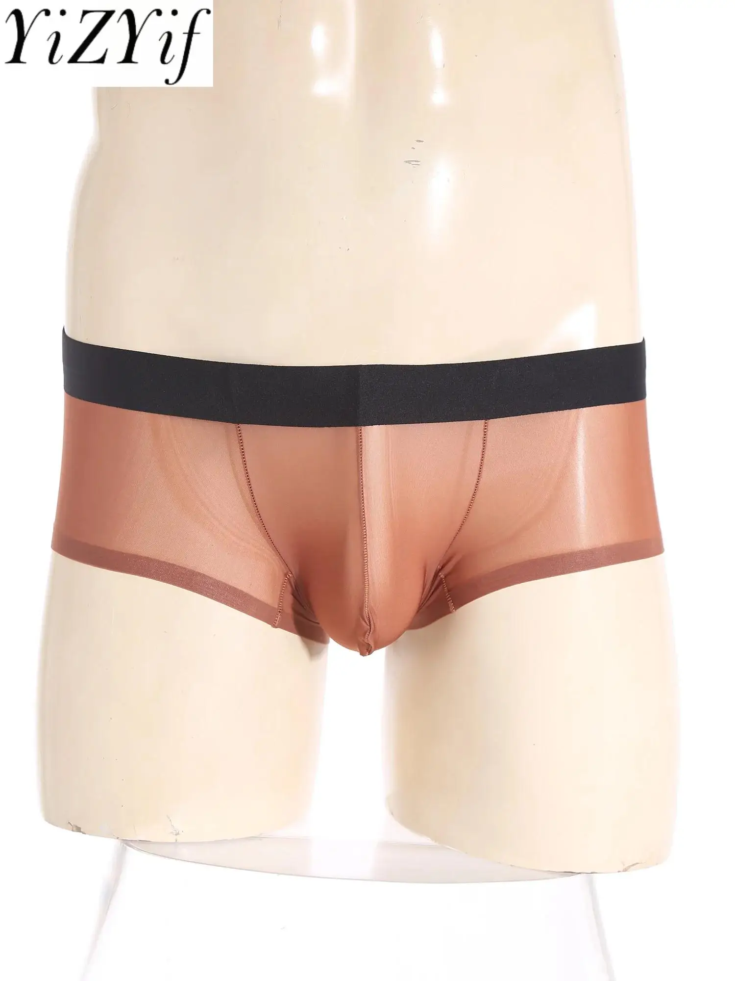 

Men Sissy Transparent Sheer Mesh Boxer Briefs Bulge Pouch Breathable Underwear Solid Color Low Waist Daily Everyday Wear Panties