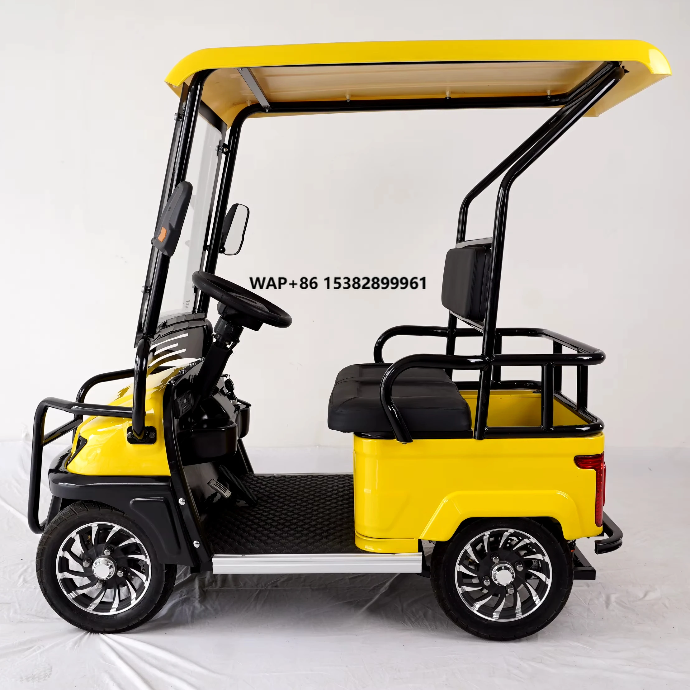 Golf Cart 2 Seater Carritos De Golf 2024 Adult Electric Golf Trike