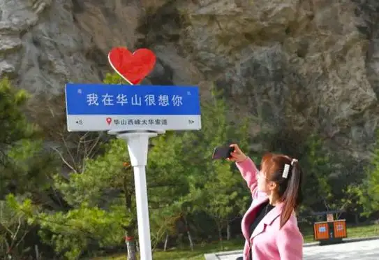 

550ml Viking Mug Collection Stainless Steel Insert Resin Beer Tankard Coffee Cup Halloween Friends Gift Cocktail Tool