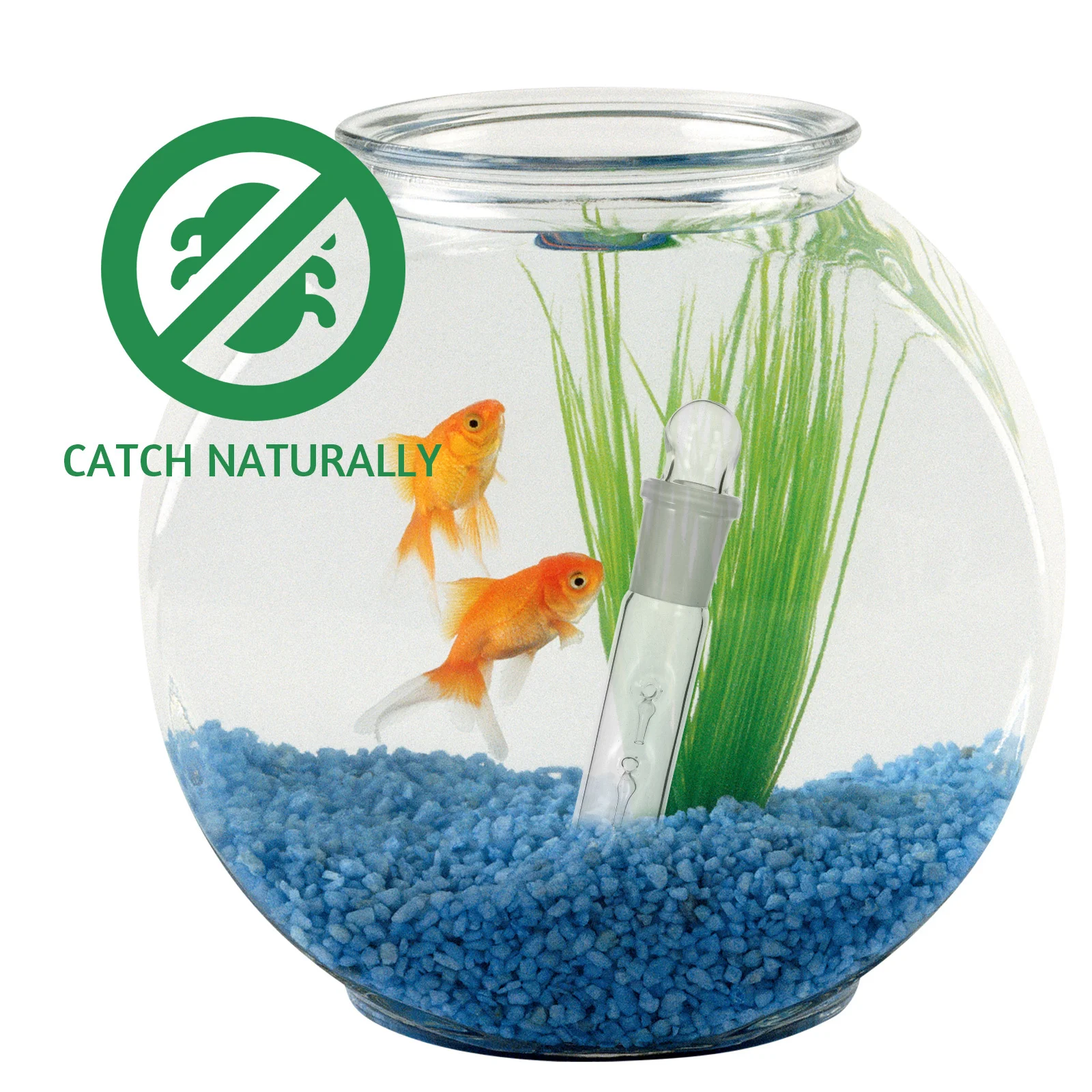 

Glass Flatworm Catcher Aquarium Planaria Trap Safe Reusable Easy Clean Fish Tank Supplies Aquarium Snail Trap Planaria Catcher