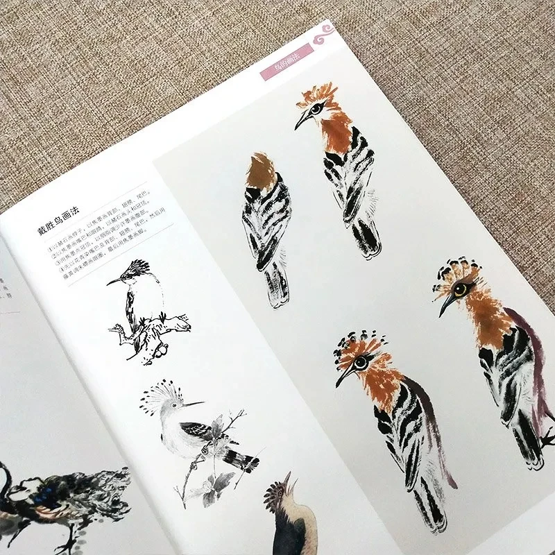 Traditional Chinese Painting Basic Tutorial Book Flower Bird Fish Insect Freehand Painting Album Introductory Teaching Material