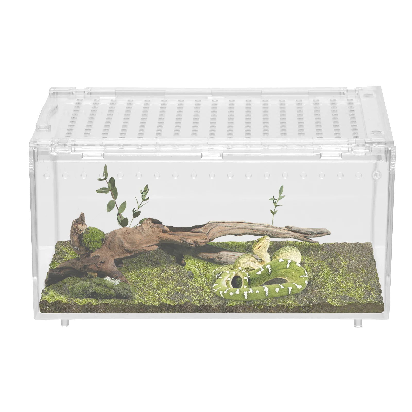 terrarium-pour-reptiles-boite-d'elevage-transparente-et-respirante-conteneur-gecko-polyvalent-pour-serpent-tarantule-ermite-saut-de-crabe