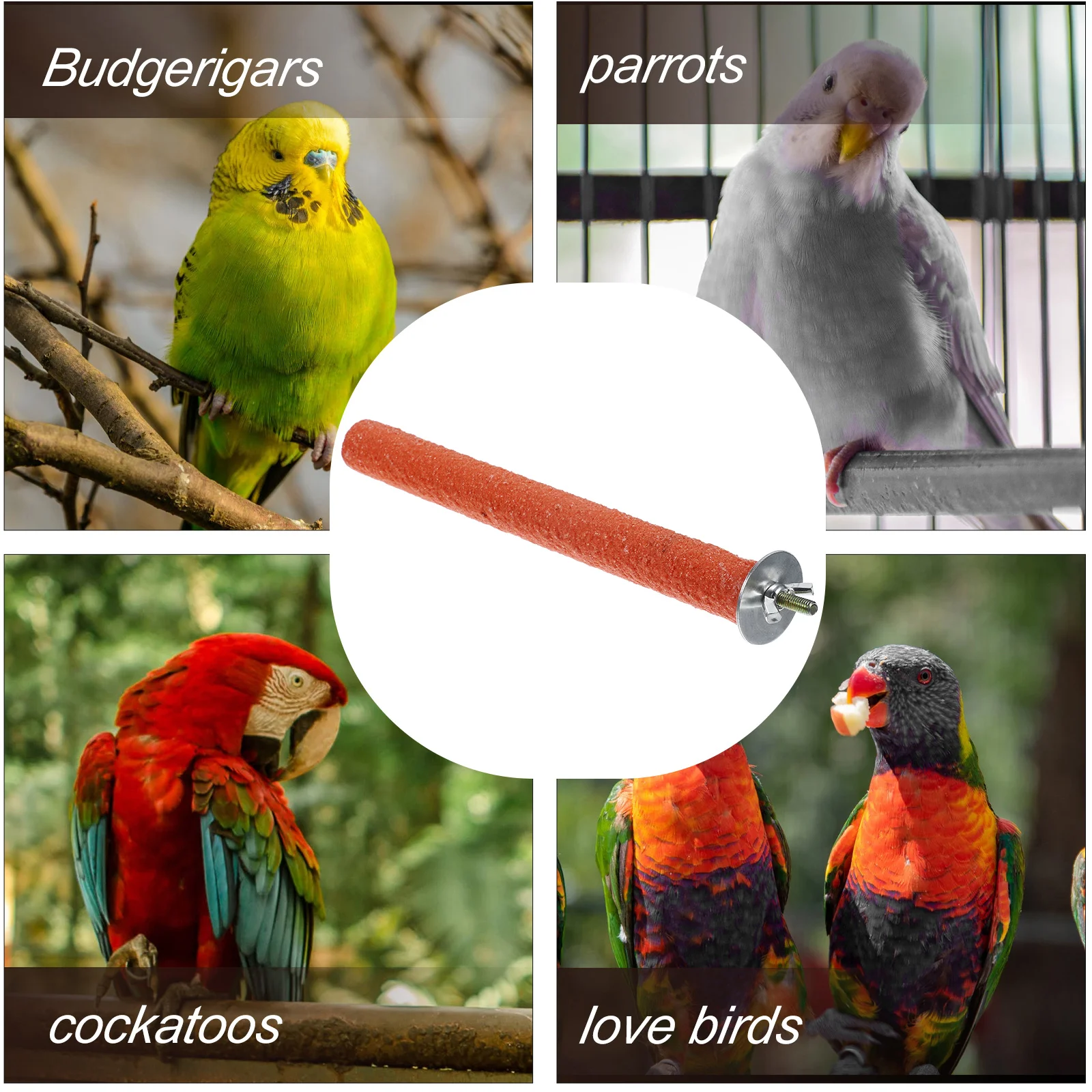 

Eco Friendly Wooden Bird Toy Parrot Grind Stick Climbing Stand Pet Training Ladder for Cockatiels Parakeets Small Birds Home