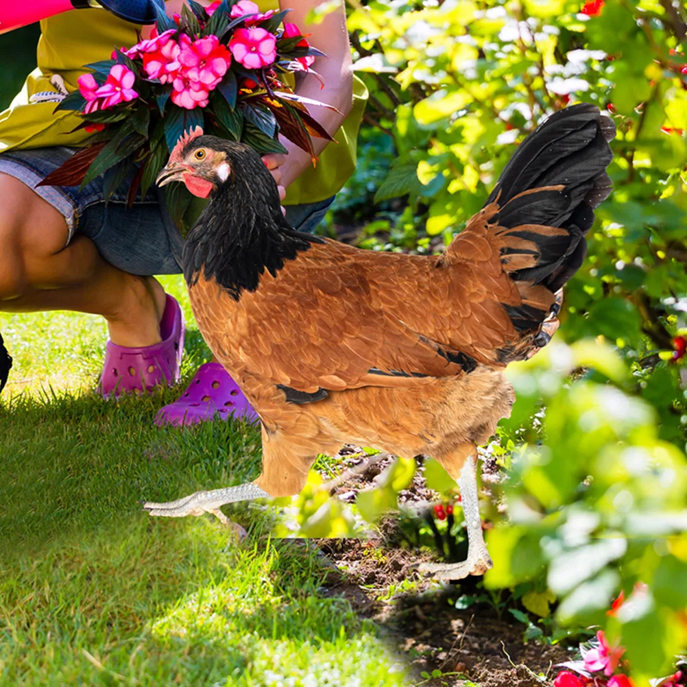 

2Pcs Decorative Acrylic Chicken Stakes Garden Hen Ornaments Colorful Yard Insert for Outdoor Decor