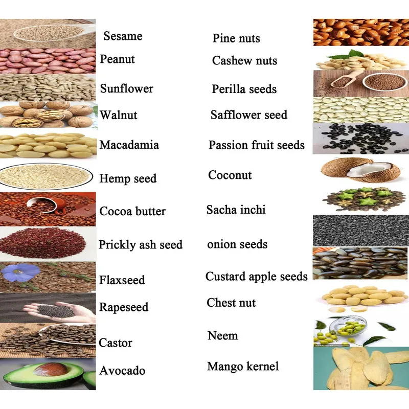 油圧式低温抽出ココアバターごまひまし油 - ココナッツとアボカドオイルプレス機