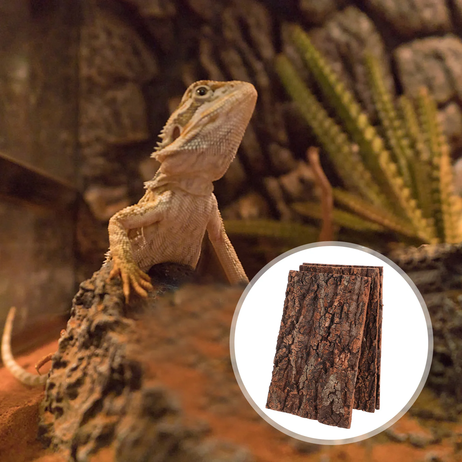 

3Pcs Reptile Tree Bark Natural Climbing Platform for Terrarium Background Cork Bark Realistic Reptile Tank Decor