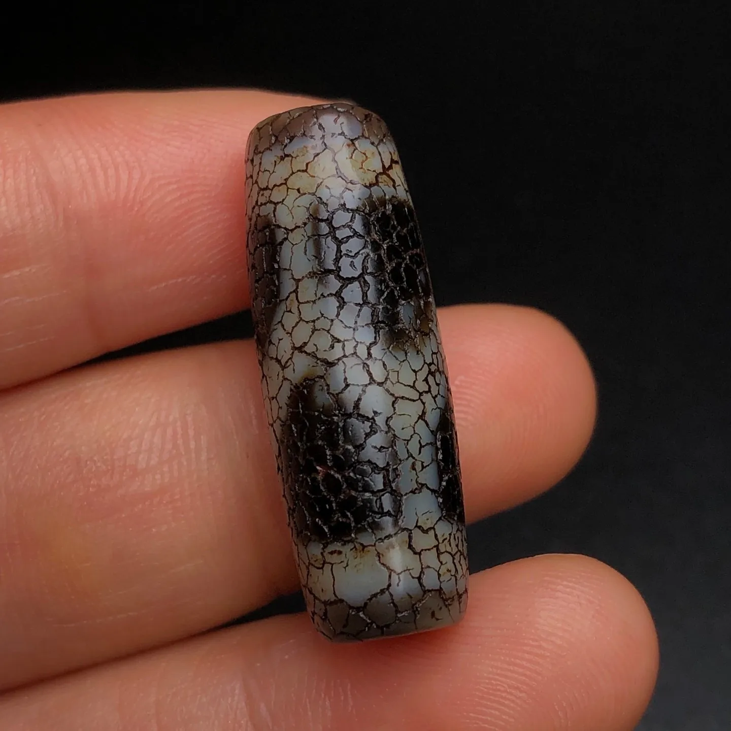 Rare Tibetan Buddhism Agate Turtle Back Dzi Bead Amulet Necklace Pendant G5069